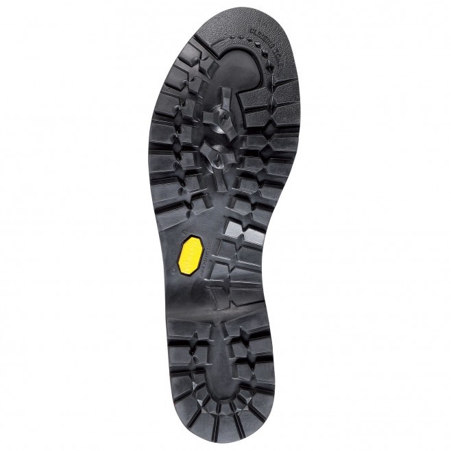 Planinarske patike Friction Millet LADY FRICTION GTX